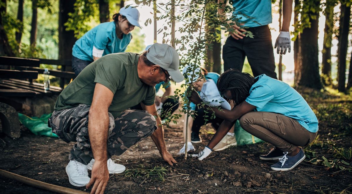 A group of people plant a sapling while surrounded by tall, leafy trees.