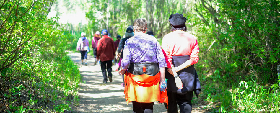 A diverse group of individuals walking along a wooded path, surrounded by trees and natural scenery. Un groupe diversifié d'individus marchant le long d'un sentier boisé, entouré d'arbres et de paysages naturels.