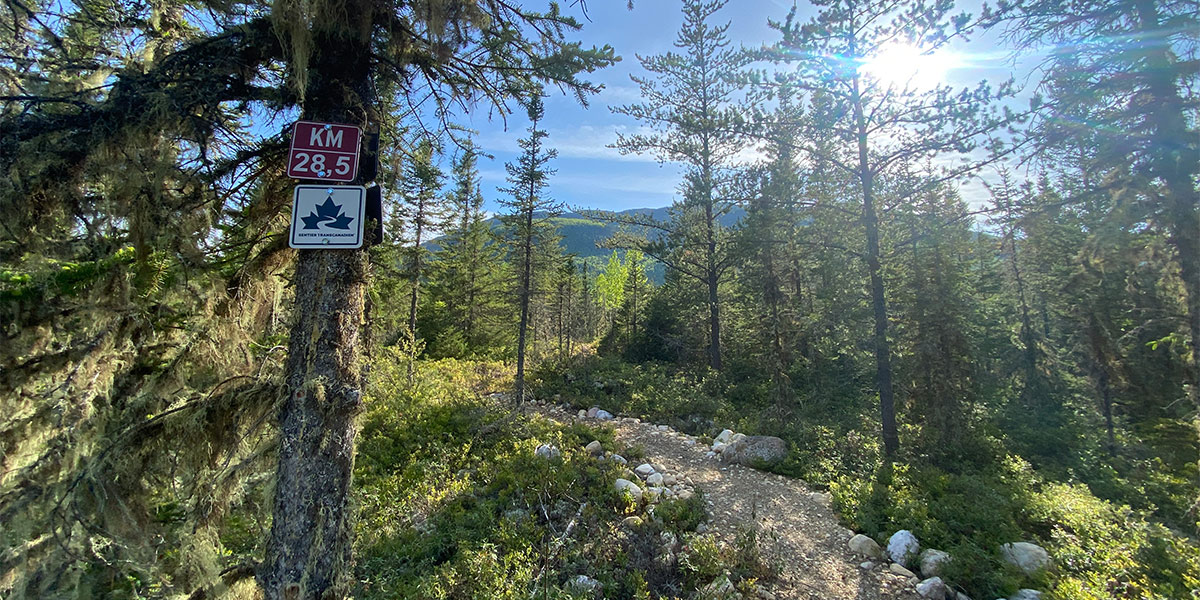 A Trans Canada Trail sign surrounded by trees and mountains, guiding hikers through a serene woodland landscape. Un panneau du sentier Transcanadien entouré d'arbres et de montagnes, guidant les randonneurs à travers un paysage boisé serein.