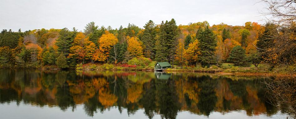 A peaceful scene of a boat on a calm lake, bordered by vibrant trees, showcasing the harmony of nature. Une scène paisible d'un bateau sur un lac calme, bordé d'arbres vibrants, mettant en valeur l'harmonie de la nature.