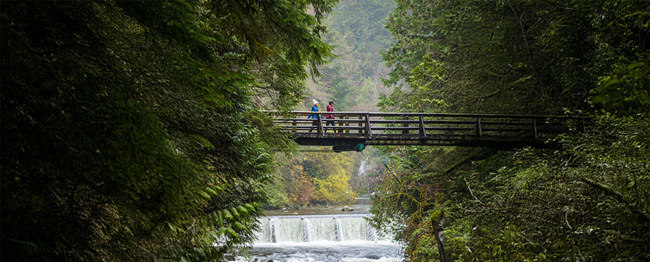 Two individuals stroll across a bridge overlooking a waterfall in Capilano River Regional Park, surrounded by lush greenery. Deux personnes se promènent sur un pont surplombant une cascade dans le parc régional de la rivière Capilano, entourées d'une végétation luxuriante.