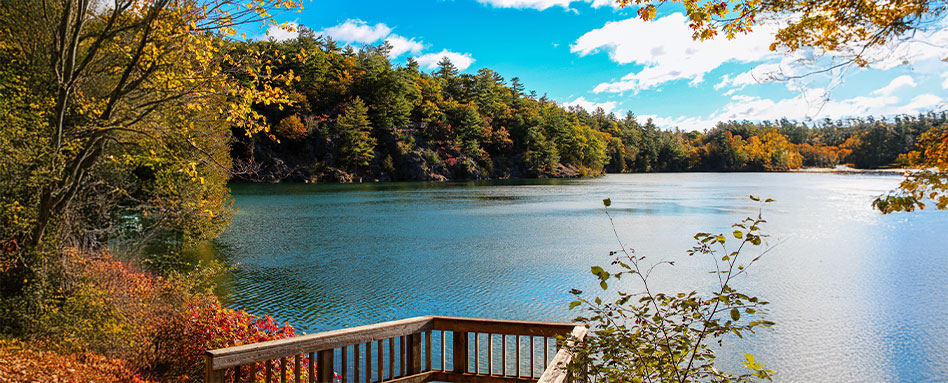 A serene wooden bridge spans across Pink Lake, surrounded by lush greenery and reflecting the clear blue sky. Un paisible pont en bois enjambe le lac Pink, entouré d'une végétation luxuriante et reflétant le ciel bleu clair.