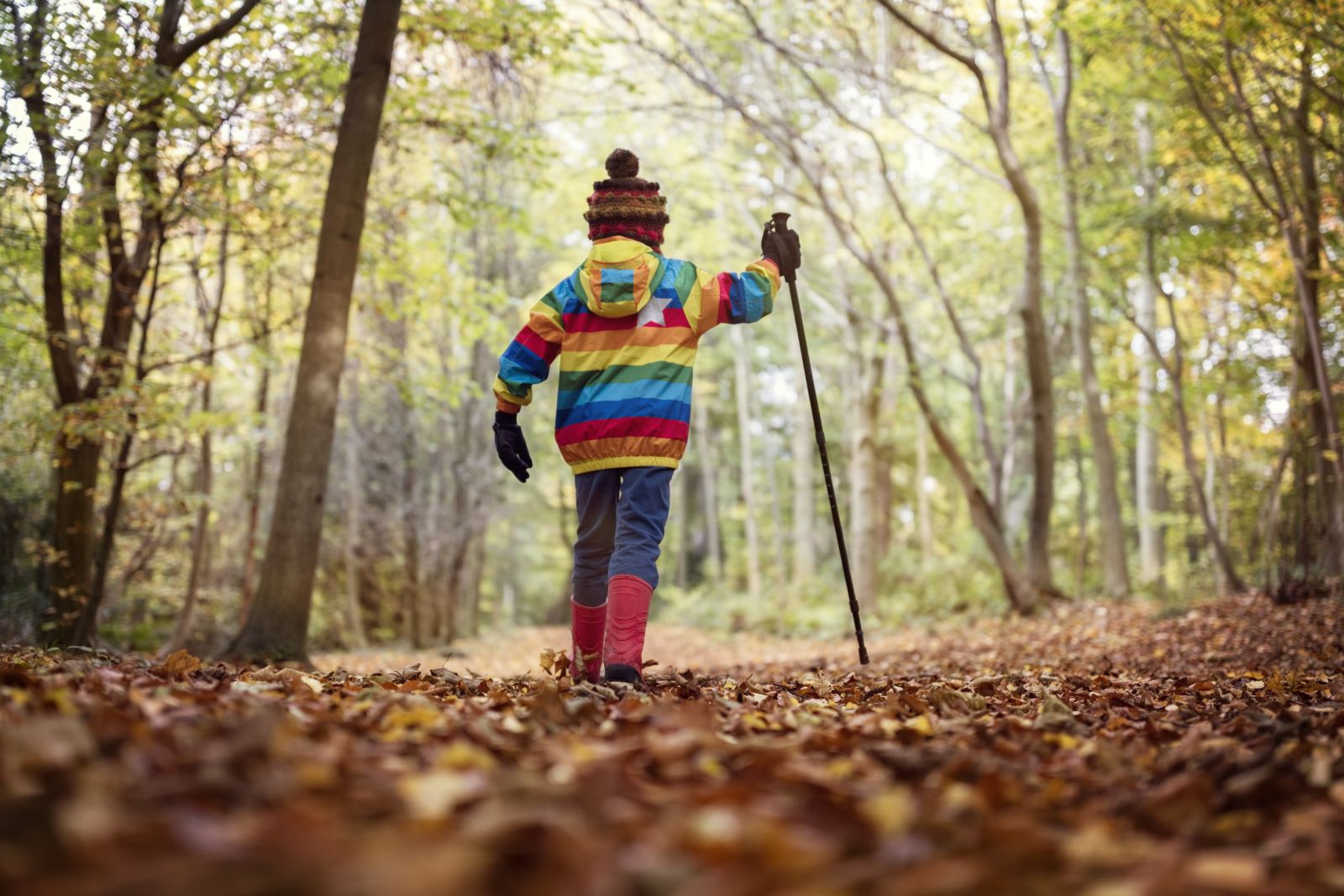 A child in a mutlti-coloured coat, back to the cameron, walking a trail with a hiking stick