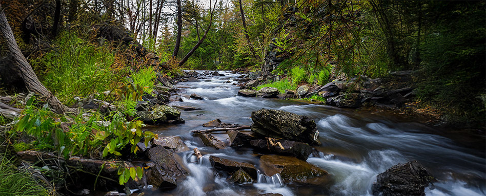 A serene view of the Shubenacadie River flowing through a lush forest, surrounded by rocks and tall trees. Une vue sereine de la rivière Shubenacadie qui coule à travers une forêt luxuriante, entourée de rochers et de grands arbres.