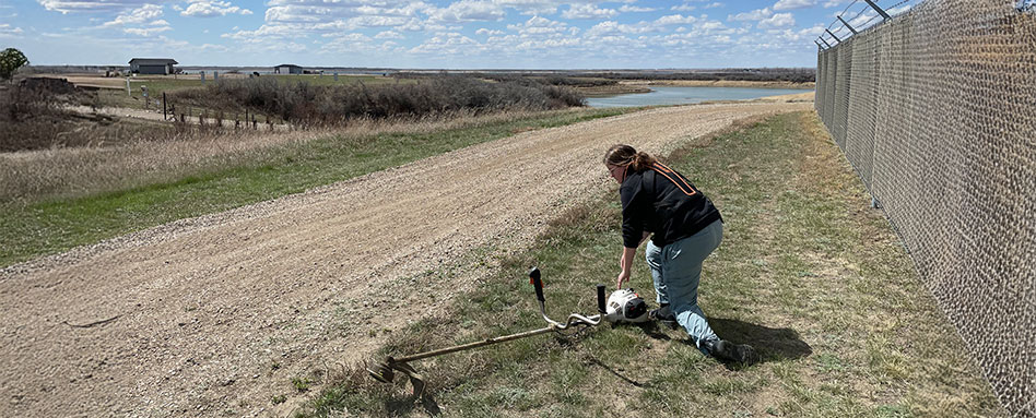 Someone skillfully cutting grass with a stick beside the road, demonstrating a traditional approach to maintaining greenery. Quelqu'un coupe habilement l'herbe avec un bâton au bord de la route, démontrant une approche traditionnelle de l'entretien de la verdure.