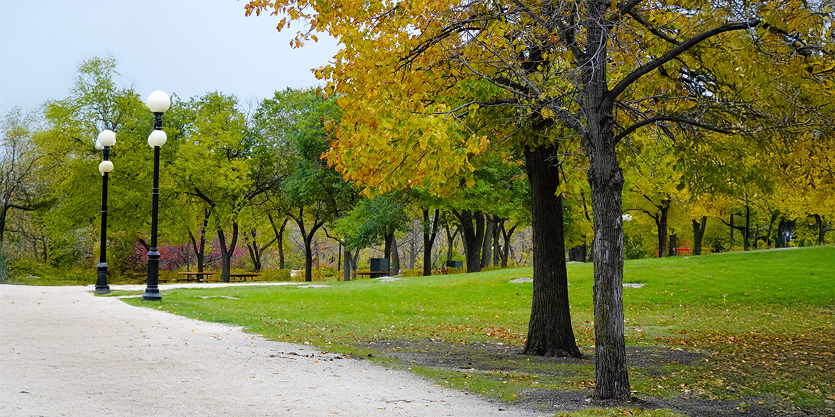 A bench in a Winnipeg park, part of the scenic Trans Canada Trail. Un banc dans un parc de Winnipeg, faisant partie du pittoresque Sentier Transcanadien.