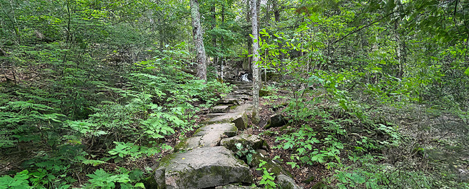 A serene view of Wakefield Trail, featuring a winding path through the woods, surrounded by rocks and tall trees. Une vue sereine du tronçon de Wakefield, avec un sentier sinueux à travers les bois, bordé de rochers et de grands arbres.