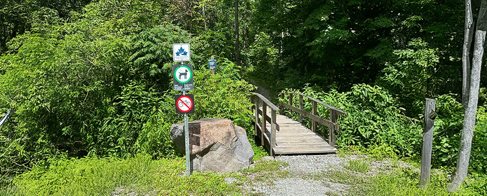 A wooden bridge with a Trans Canada Trail sign, surrounded by walking and biking trails, inviting outdoor exploration and adventure. Un pont en bois orné d’un panneau du Sentier Transcanadien, entouré de sentiers pédestres et cyclables, invitant à l'exploration et à l'aventure en plein air.