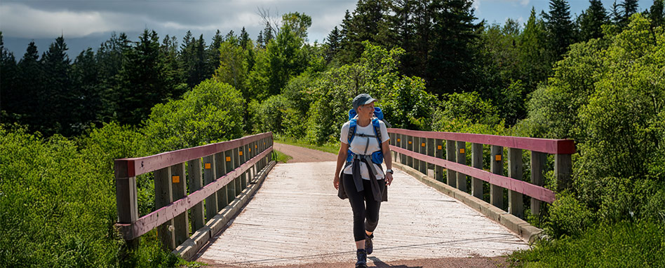 A woman walks across a bridge surrounded by lush greenery in a serene wooded area. Une personne traverse un pont entouré d’une végétation luxuriante, au cœur d’un espace boisé paisible.