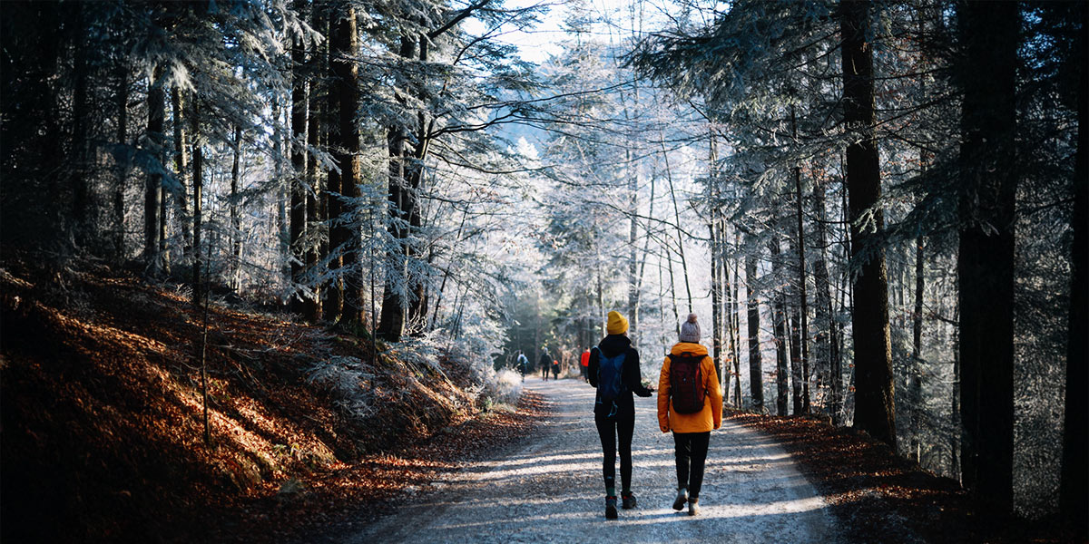 Two people walk together on a forest trail, surrounded by trees and the tranquility of nature. Deux personnes marchent ensemble sur un sentier forestier, entourées d’arbres et bercées par la tranquillité de la nature.