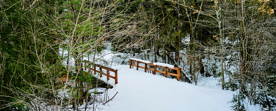 A snow-covered bridge in the woods, leading to a ski trail in Sault Ste. Marie, surrounded by serene winter scenery. Un pont couvert de neige dans la forêt, menant à un sentier de ski à Sault Ste. Marie, entouré d’un paysage hivernal paisible.