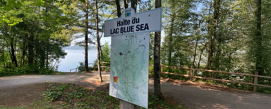 photo of trail sign with trees and path in background