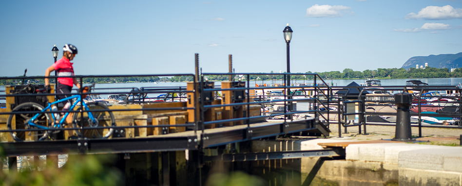 picture of bridge over water with tees in background