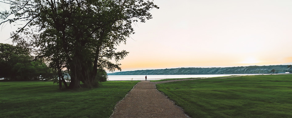 horizon photo of a lake with trees