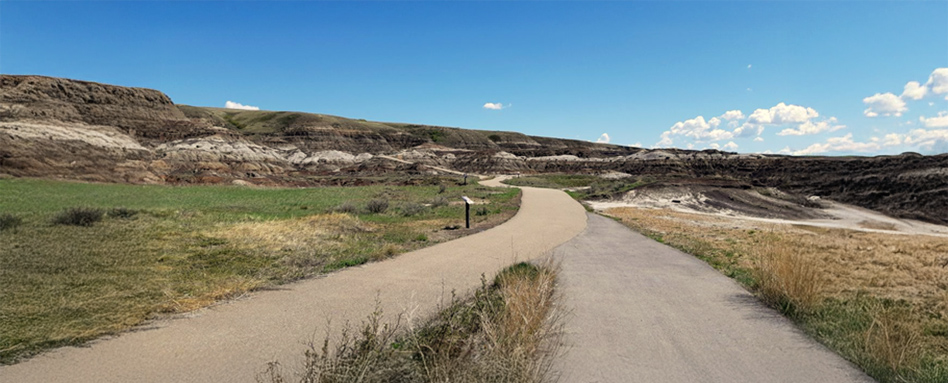 long dirt pathway
