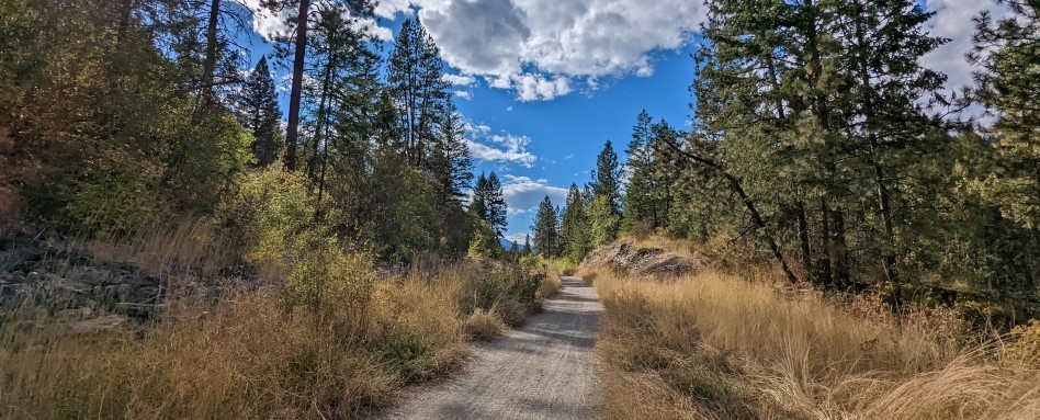 trail with trees and blue sky