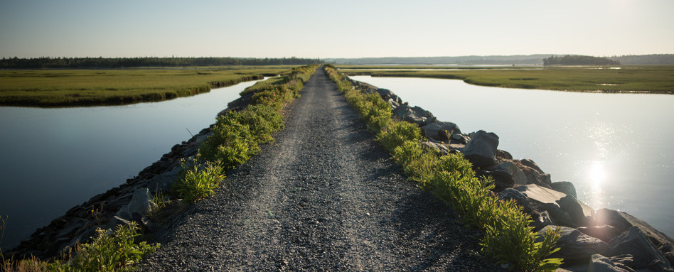 long trail surrounded by water