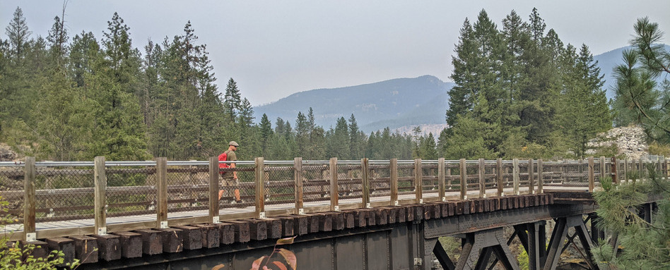 person walking on long bridge with trees and mountains in background