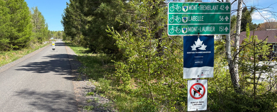 trail sign on paved road with trees