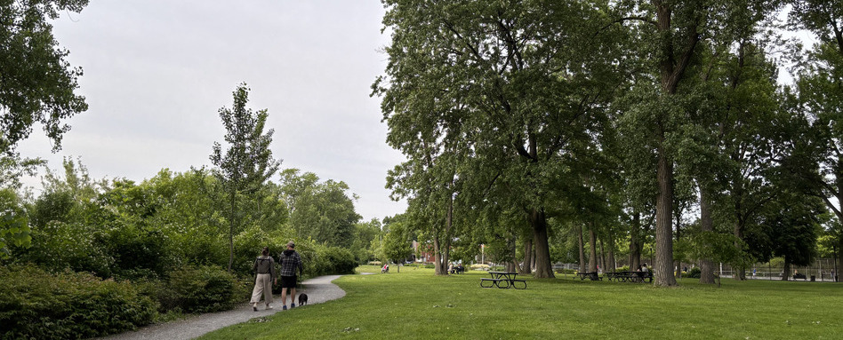 a park with people walking on a trail
