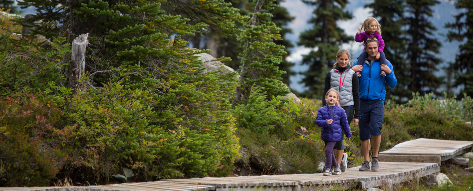people jogging in a forest