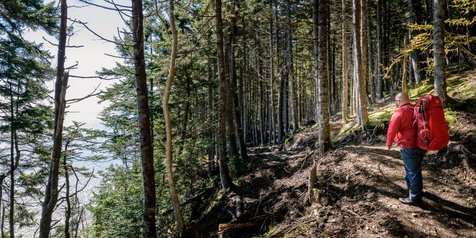Fundy National Park (Goose River Trail), part of the Trans Canada Trail in New Brunswick, Canada