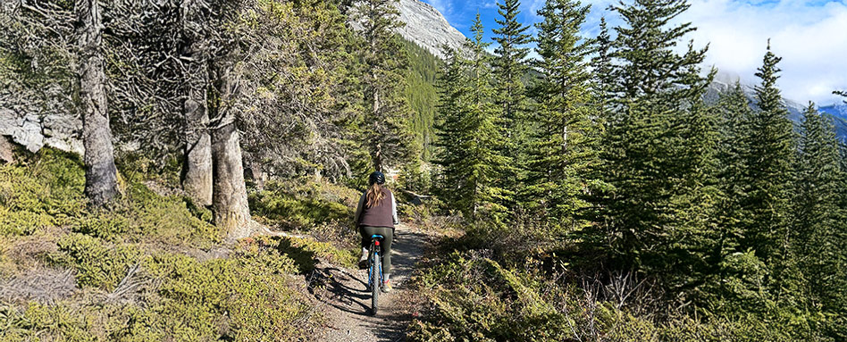 woman hiking path with large trees and mountain