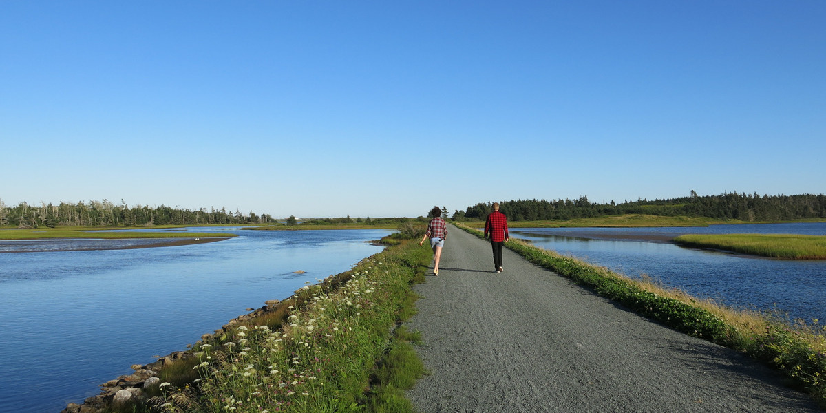 people walking on a trail with lake and greenery and blue sky around