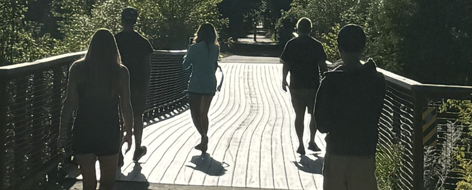 people walking on a bridge