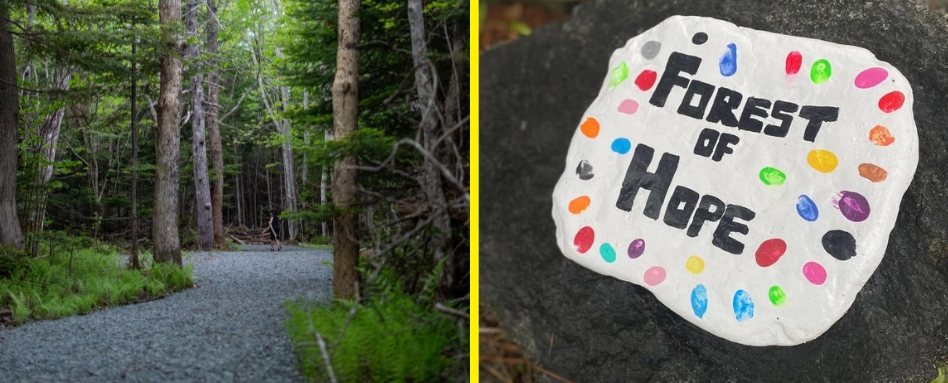 photo of sign saying "forest of hope"