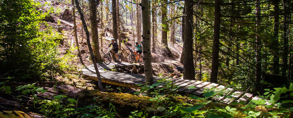 people biking on a wooden bridge in forest