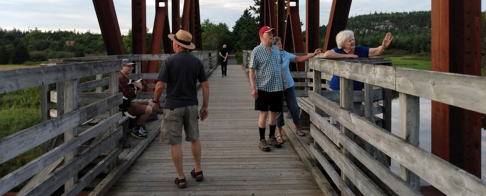 people stnading on a bridge looking off into the distance