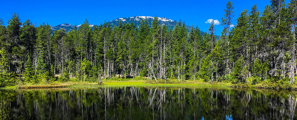 lake with forest and mountains behind on a sunny day