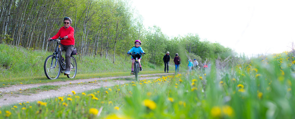 people on a cycle path on bikes