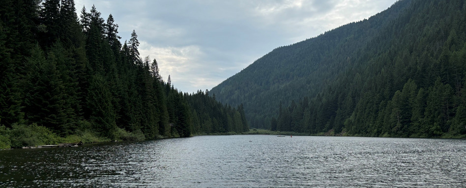 lake and forest behind on cloudy day