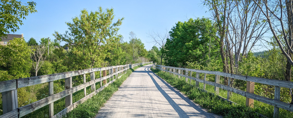 boardwalk trail with trees and forrest alongside