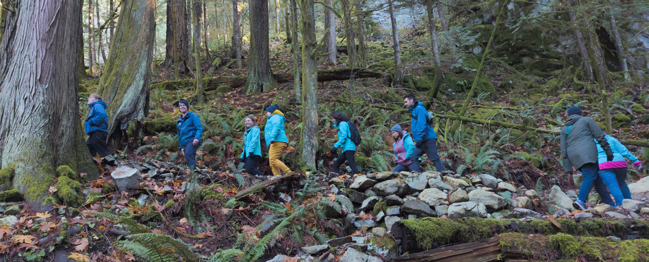 people hiking in winter gear in a forest