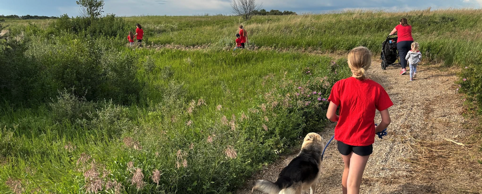 people hiking on a grassy trail in a meadow