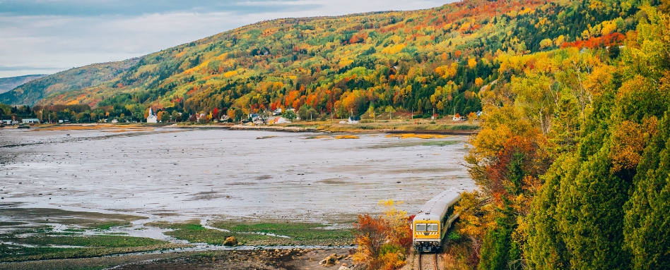 birds eye view of train passing through trail over fall foliage and body of water