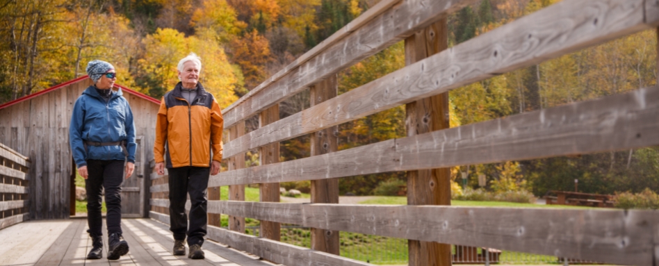 people walking on a trail with fall colours behind