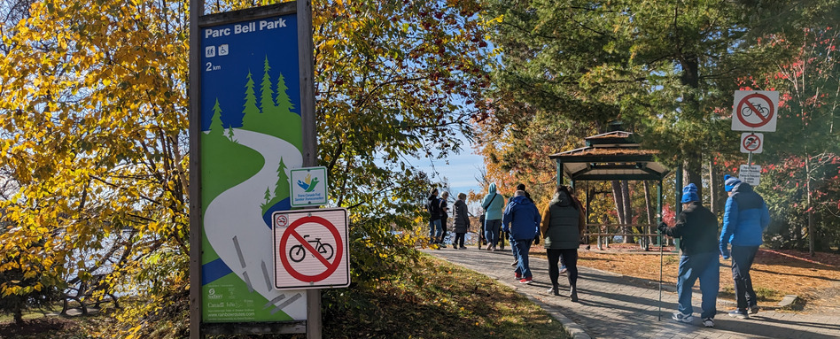 people walking on a trail under fall foliage