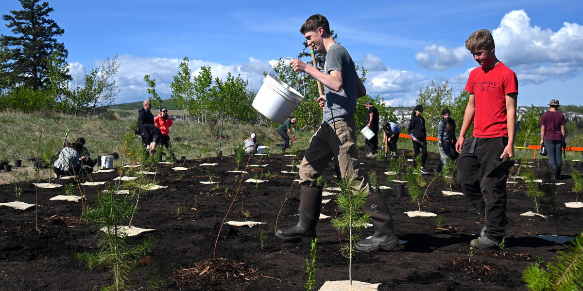 boys carrying buckets in a tree planting area on a sunny day