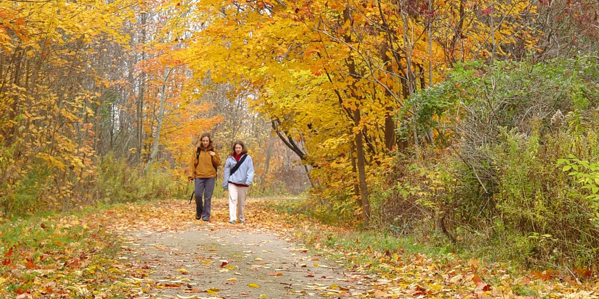 00Feature_ON_Brantford_credit Grand River Conservation Authority 1 | Trans Canada Trail people walking on a path through fall foliage