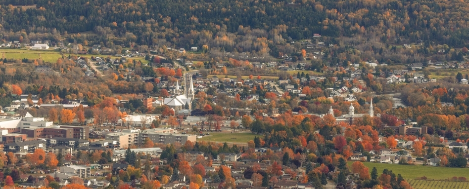 fall colours birdseye view