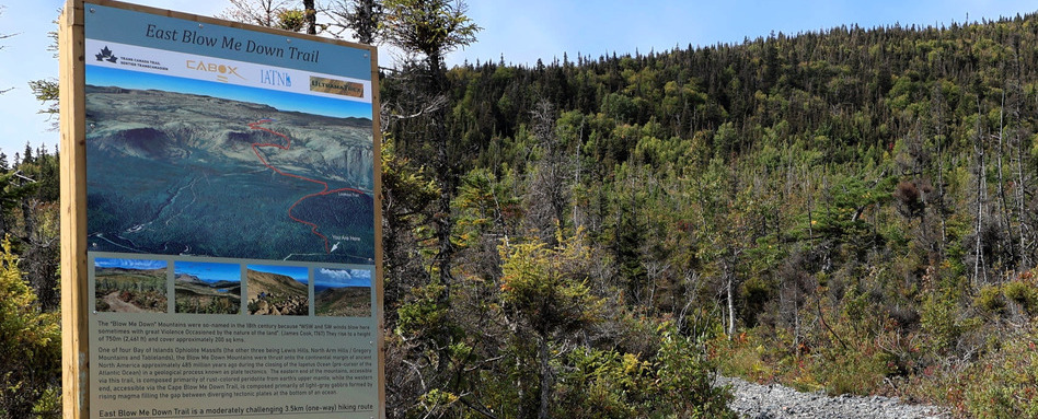 A wilderness trail with a sign reading East Blow Me Down Trail.