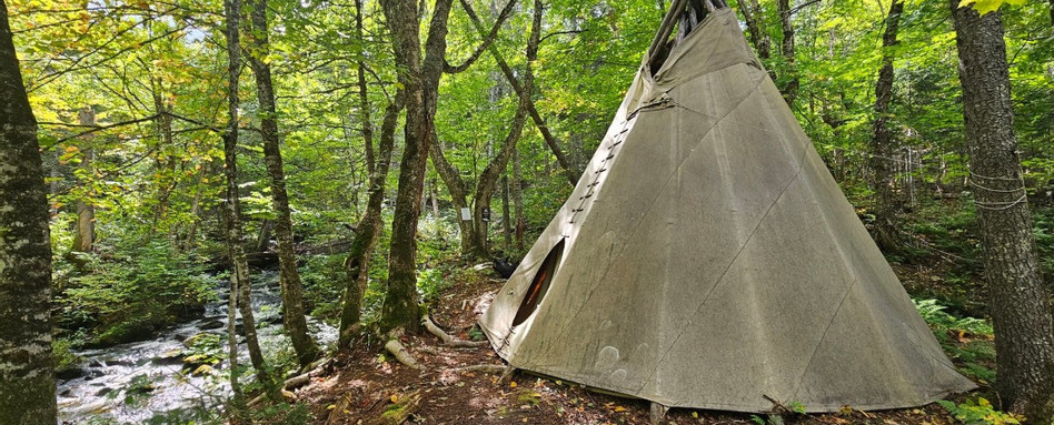 02NB_trail-profile_sentier-nepisiguit-migmaq-trail_snmt-association_teepee_Web_StorySupport_Images_948x383 | Trans Canada Trail teepee in the woods on sunny day