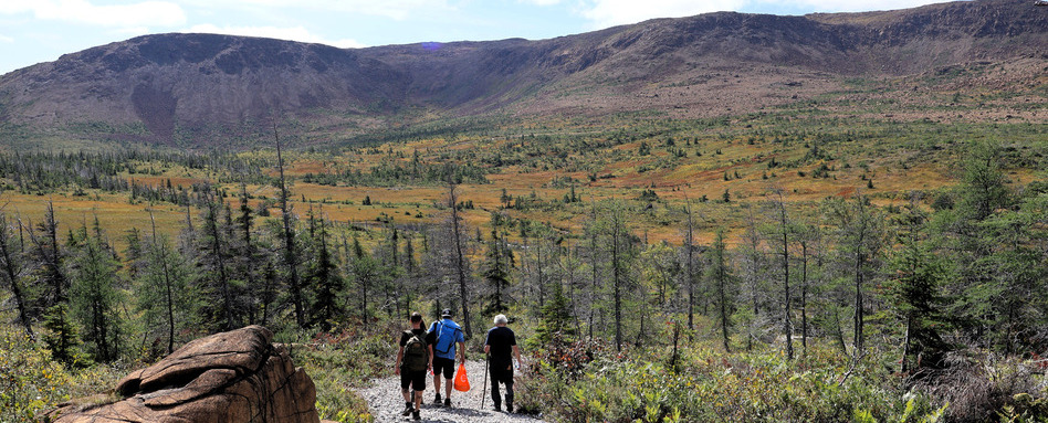 Three people, seen from behind, walking along a wilderness trail in the distance. Behind them are trees and a mountain range.
