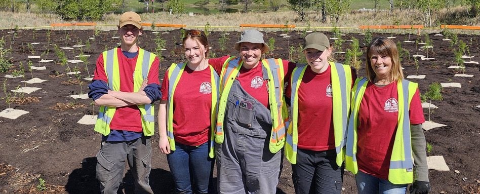 group of people in vests smiling in tree planting gear on sunny day