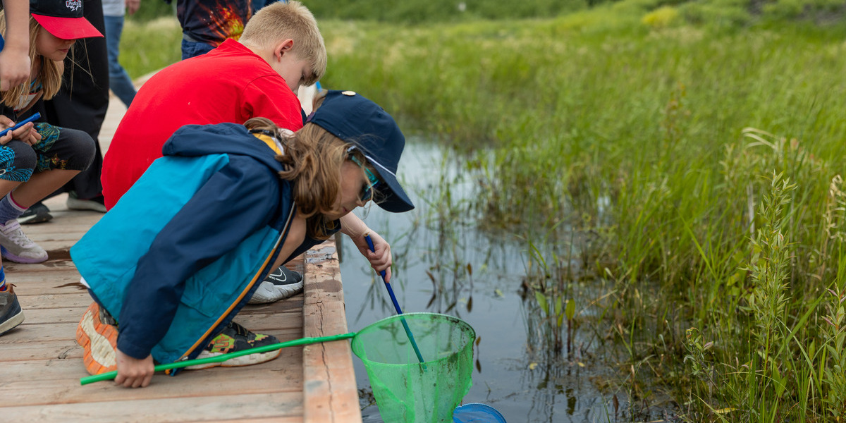 MB - Headingly Grand Trunk Trail | Trans Canada Trail kids playing with nets on a pond standing on a dock