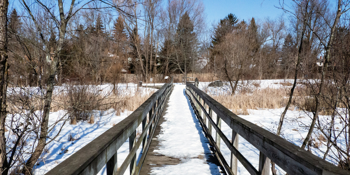 Caledon Trailway in Ontario | Trans Canada Trail long wooden bridge covered with snow looking towards trees and blue sky